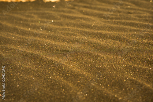ripples in the sand