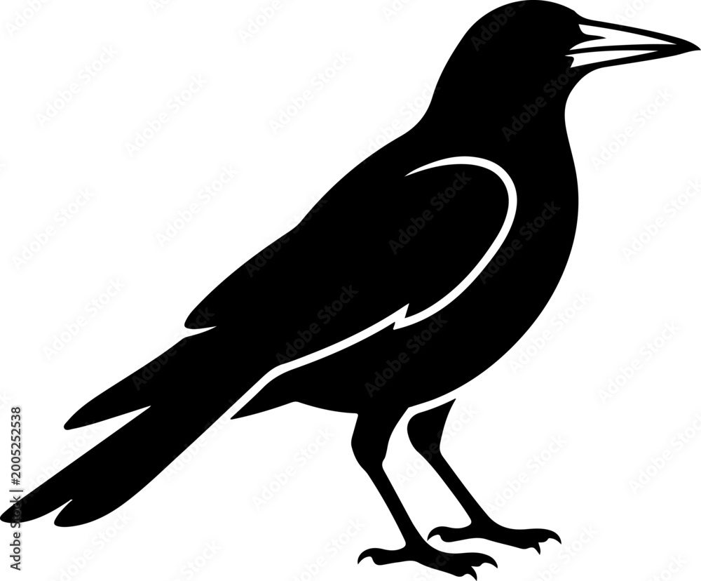 Fototapeta premium Australian magpie silhouette vector illustration