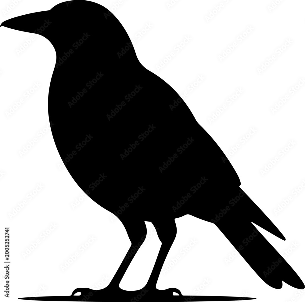 Fototapeta premium Australian magpie silhouette vector illustration