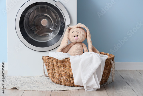 Washing machine and wicker ...