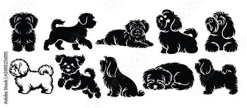 Fotografie Maltese Dog Silhouette Set Vector Collection | Elegant Small White Toy Breed Out