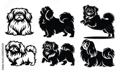 Canvastavla Pekingese Dog Silhouette Set Vector Collection | Imperial Lion Dog Fluffy Toy Br