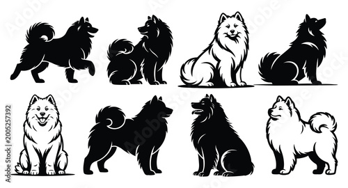 Vászonkép Samoyed Dog Silhouette Set Vector Collection | Fluffy Arctic Spitz Smiling Breed