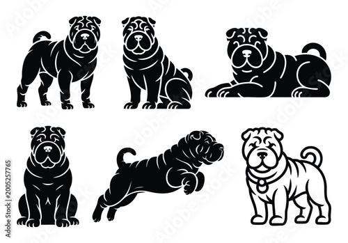 Fotografie Shar Pei Dog Silhouettes Set – Chinese Wrinkled Breed in Different Poses Vector