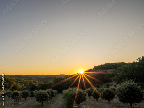 Sunburst Sunset Over Orchard In Quercy Countryside