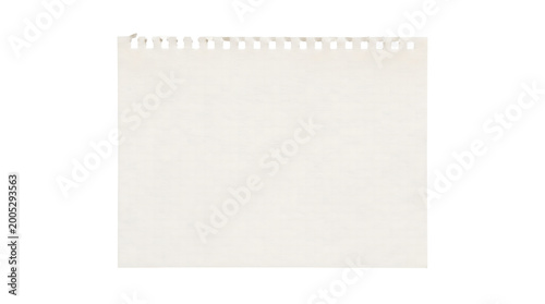 A piece of white spiral notebook paper with a torn edge