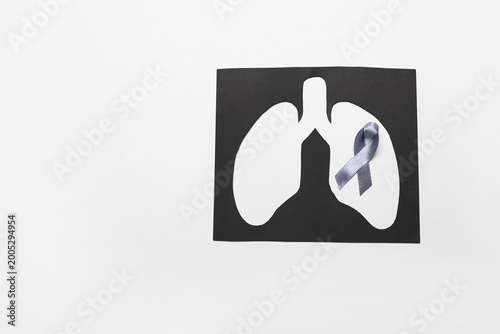 Paper cut out lungs and rib...