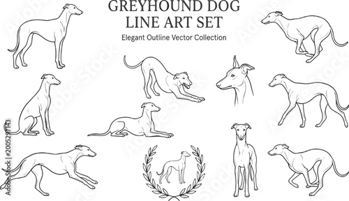 Fotografija Adobe Illustrator Artwork Elegant Greyhound Dog Line Art and Minimalist Vector I