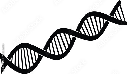 Photography Dna double helix illustration black and white sketch