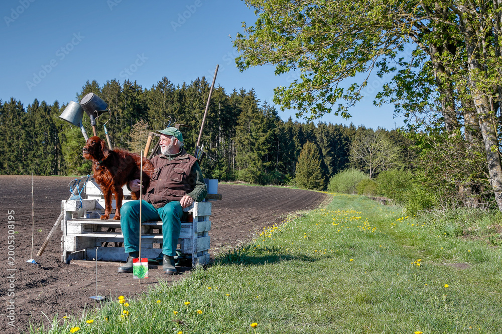 Fototapeta premium Farmer with Irish Setter dog sitting at rural field edge under blue sky, enjoying spring countryside. Authentic agricultural lifestyle scene with farmland, nature, and generous copy space.