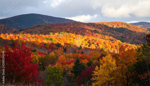 Vibrant Autumn Forest Landscape with Rolling Hills and Dramatic Sky.