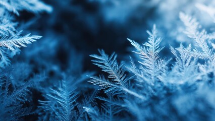 Intricate fern like ice crystals sparkling with a vibrant blue glow against a dark background
