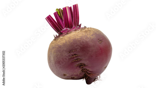 Konstfotografi Deep purple raw beet root with green leafy tops and rootlets