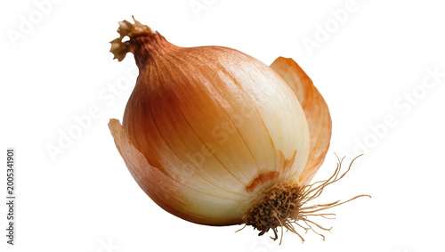 Foto Brown bulbous Onion with Rootlets and Dried Stem