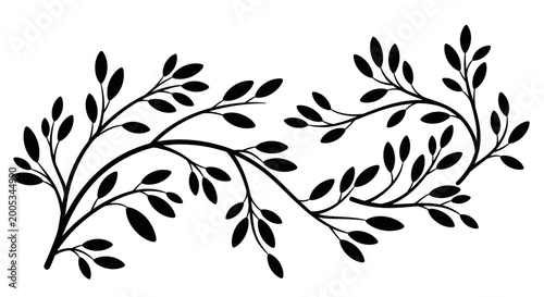 Fotografie Black Silhouette of Decorative Floral Branch with Leaves Isolated on White