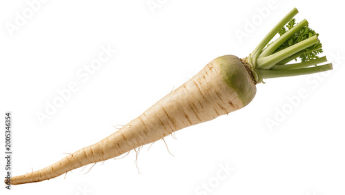 Konstfotografi Pale Parsnip Root with Green Leafy Tops and Rootlets