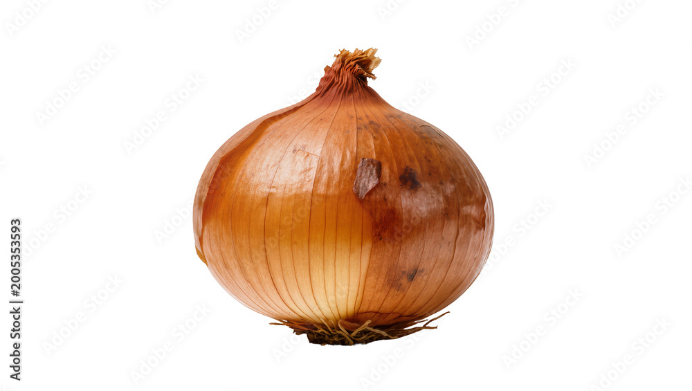 Αυτοκόλλητο Brown Yellow Bulbing Onion with Rootlets and Dried Skin