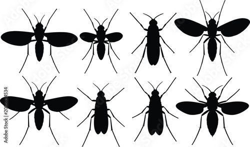Bild auf Leinwand Illustration of gnats in black silhouette