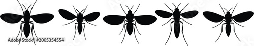 Photos Black silhouette illustration of gnats in various poses