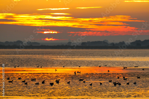 Sunset through clouds over a large body of water