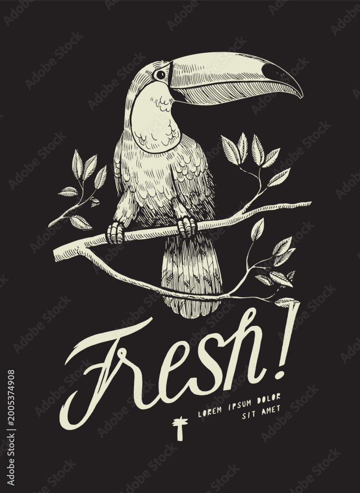Fototapeta premium Vintage toucan sitting on a branch fresh t-shirt print vector illustration white on black