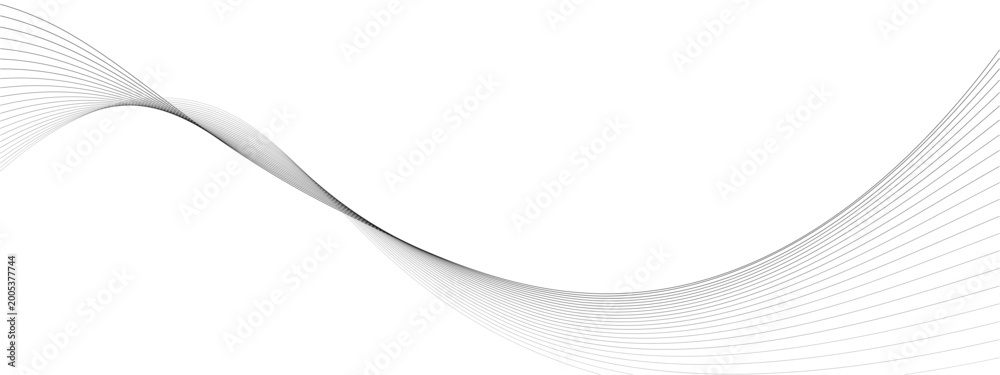 Fototapeta premium Minimalist black flowing wavy lines background on white for corporate design.