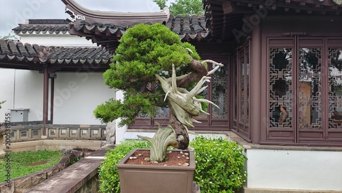 Traditional Chinese Garden With Bonsai Trees And Ornate Pavilions Photo