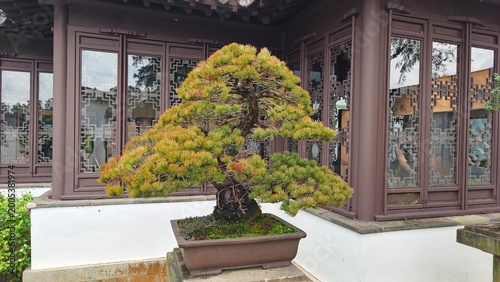 Traditional Chinese Garden With Bonsai Trees And Ornate Pavilions Photo