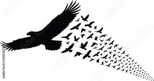 Eagle silhouette transforming into flock of birds, symbolic vector illustration of freedom, unity, transformation, and creative design concept