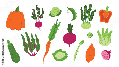 Set of hand drawn ripe vegetables and salad isolated on white background. Pumpkin, pepper, onion, sweet potato, radish, carrot, cabbage, fennel, asparagus, cauliflower, beetroot, zucchini, peas