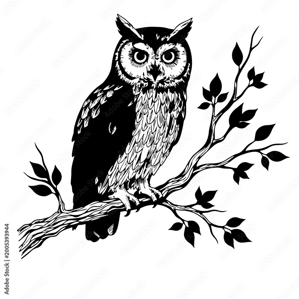 Obraz premium Owl on Branch Line Art Vector