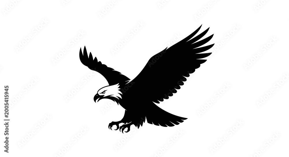 Fototapeta premium Bald Eagle in Flight Silhouette Profile.