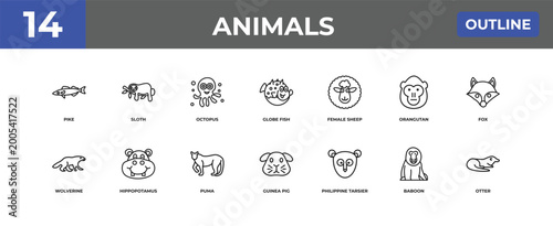 Photography outline animals icons set - pike, sloth, baboon