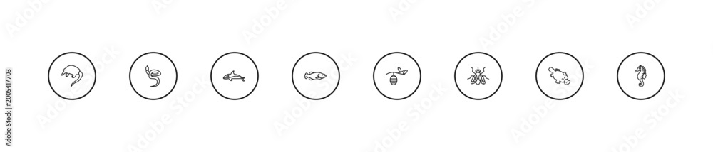 Obraz premium outline animals icons set - orca, big fish, cocoon. editable vector for web and mobile ui