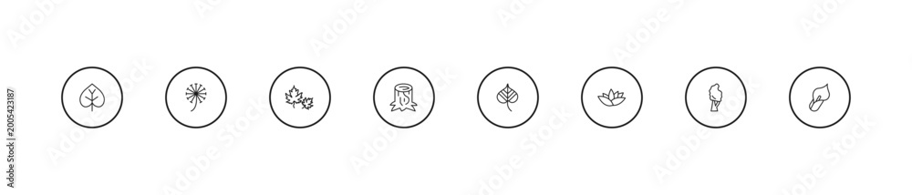 Fototapeta premium outline nature icons set - dry leaf, trunk, linden leaf. editable vector for web and mobile ui