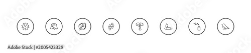 outline nature icons set - birch leaf, hive, silver maple tree. editable vector for web and mobile ui
