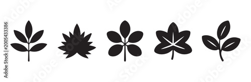 Photos Abstract leaf silhouettes with internal vein details icons.