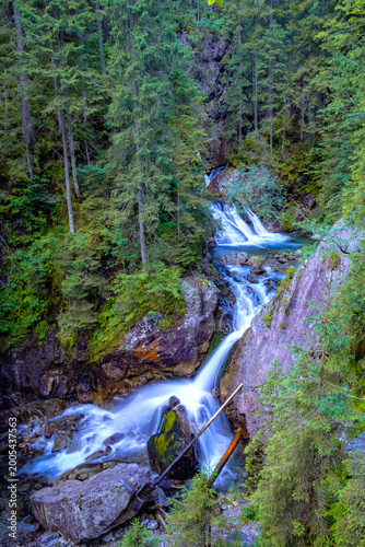 A mountain waterfall surrounded by forest. Tatra Mountains, Mickiewicz Falls.