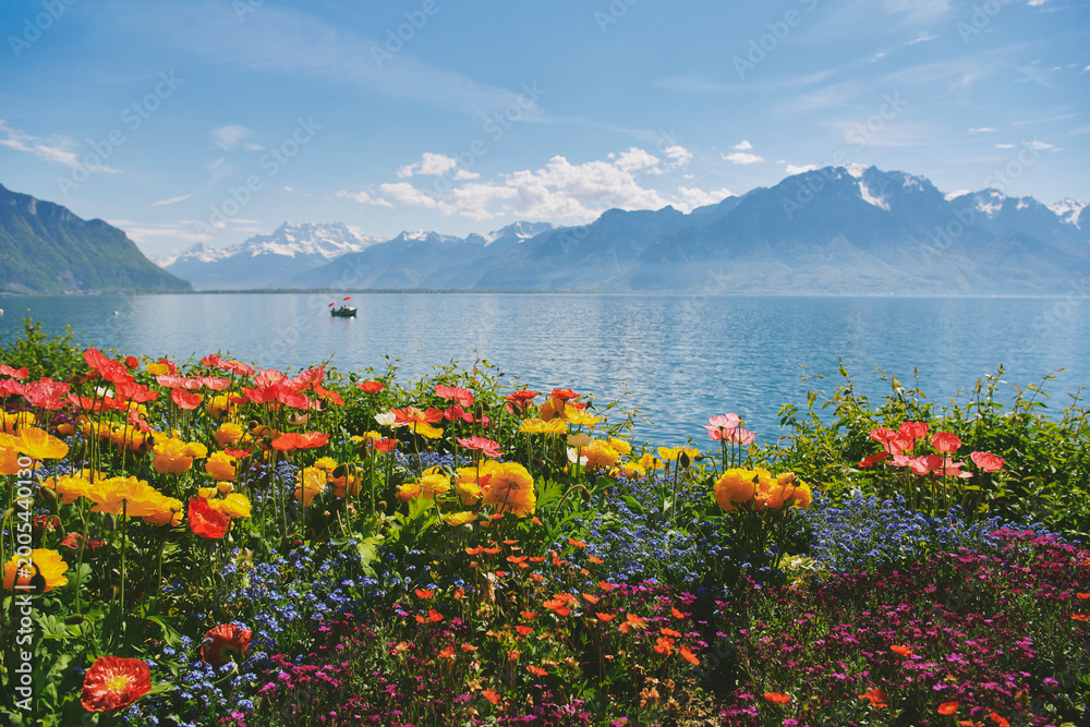 Naklejka premium Colorful spring flowers by Lake Geneva in Montreux Switzerland with alpine mountains and clear blue water, vibrant garden in bloom under sunny sky, peaceful scenic travel landscape