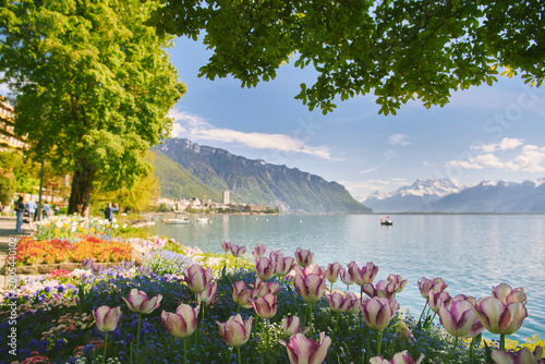 Spring flowers by Lake Geneva in Montreux Switzerland with alpine mountains and calm blue water, colorful garden under green trees, sunny day scenic landscape and peaceful travel view