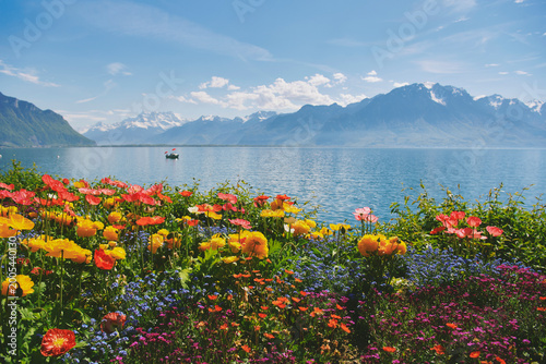 Colorful spring flowers by Lake Geneva in Montreux Switzerland with alpine mountains and clear blue water, vibrant garden in bloom under sunny sky, peaceful scenic travel landscape