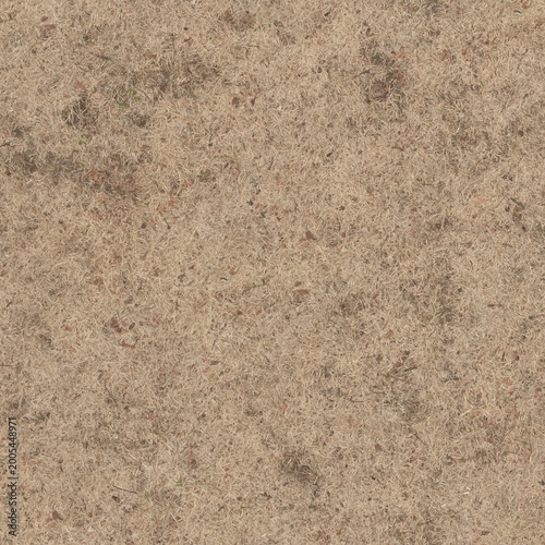 Dry Detailed Flatlay Grass Texture Full Frame Natural Background