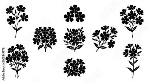 Woodland Phlox Flower Vector Illustration | Spring Wildflower Botanical Artwork | Elegant Nature Floral Design