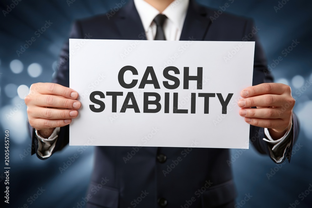 Obraz premium Financial Advisor Presenting the Concept of Cash Stability