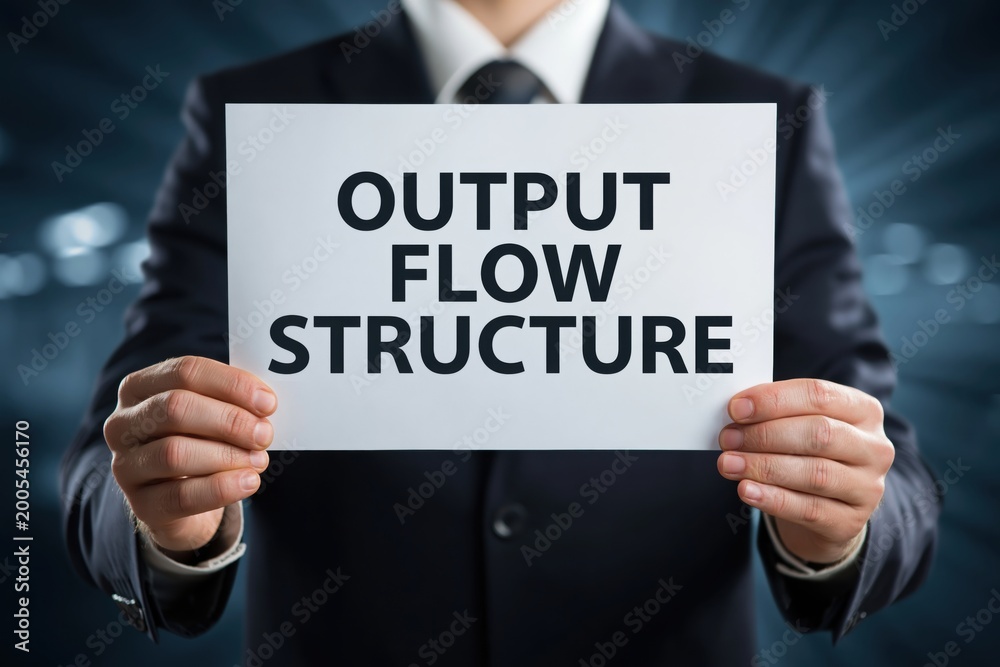 Obraz premium Manager Detailing the Output Flow Structure