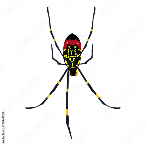 An illustration of a flying spider, suitable for all businesses.