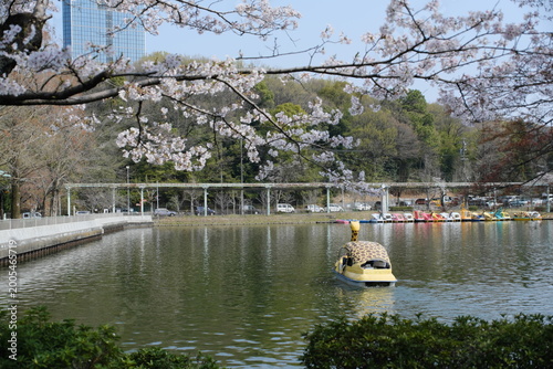 東山動物園