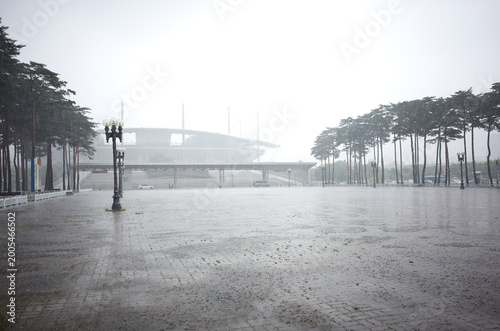 Various views of the park on a rainy day.
