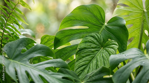 Green leaves with different shapes plants closeup