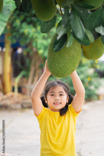 Young Child Joyfully Reaching for Large Jackfruit on Tree in Lush Green Garden Setting in Bright Summer Daylight
